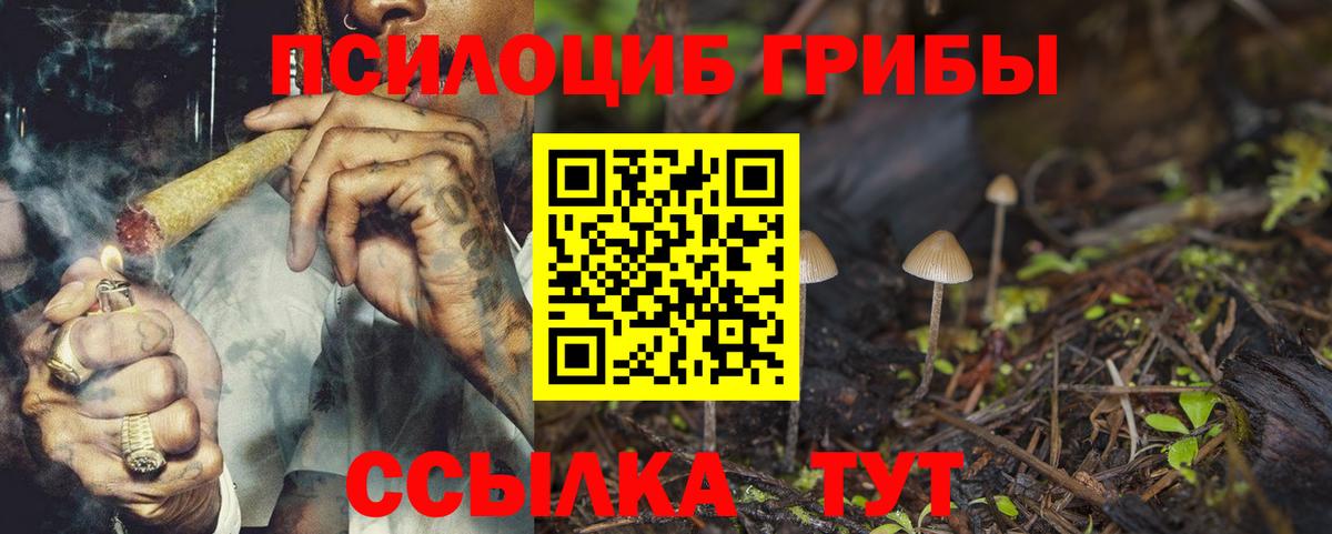 Псилоцибиновые грибы прущие грибы  Вход с VPN  Елец 