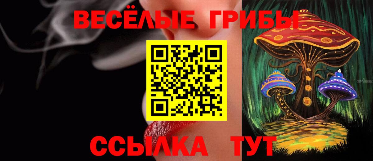 Галлюциногенные грибы GOLDEN TEACHER Елец